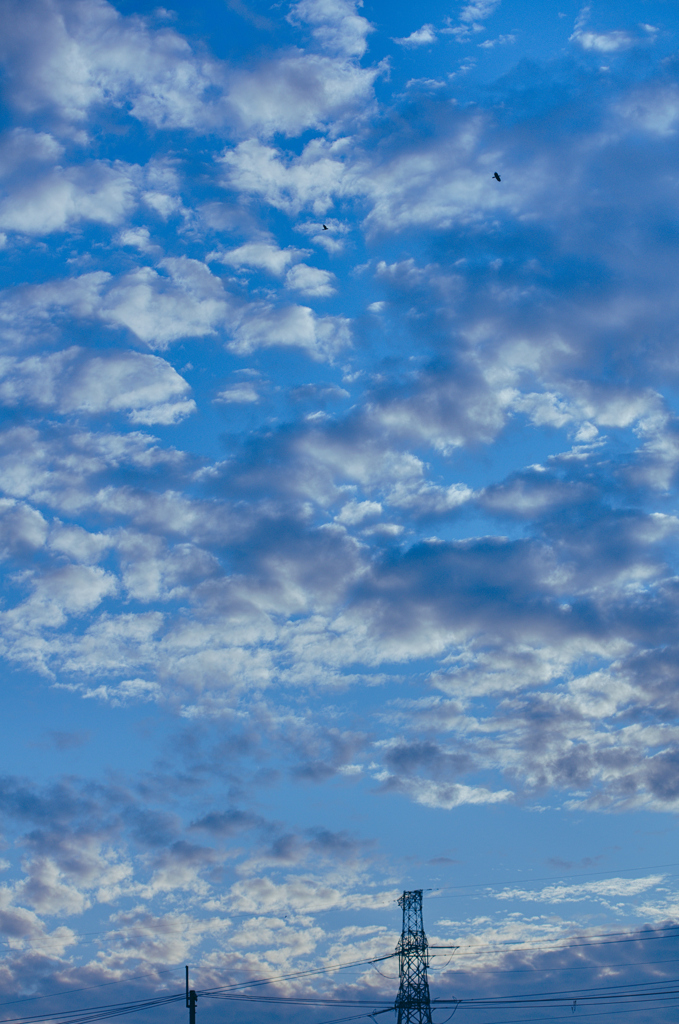 the look of the sky # 516