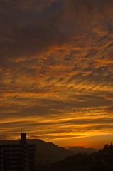 the look of the sky # 428