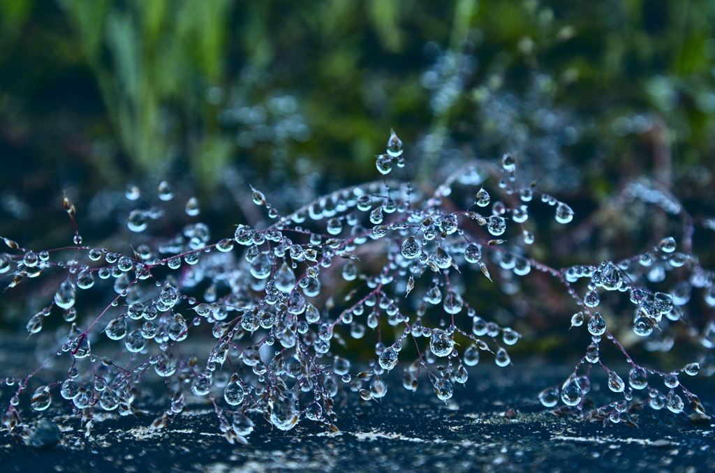 水玉ジュエリー