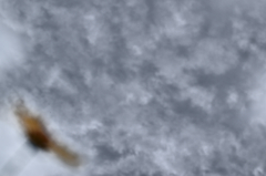 the look of the sky # 52