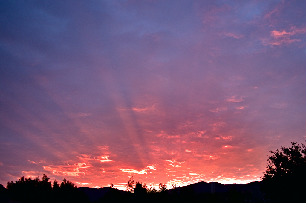 the look of the sky # 245