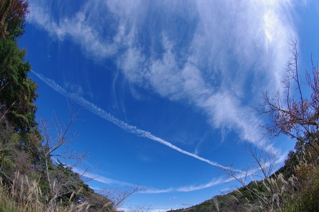 晩秋の空模様