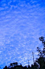 the look of the sky # 314
