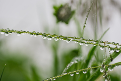 雨上がり