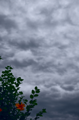 the look of the sky # 51