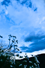 the look of the sky # 67