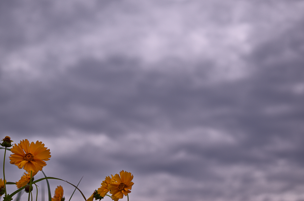 the look of the sky # 54