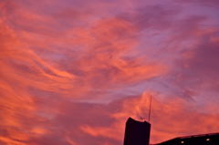 the look of the sky # 137