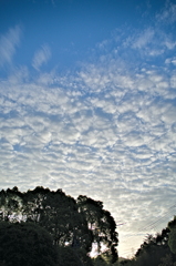 the look of the sky # 352