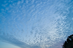 the look of the sky # 312