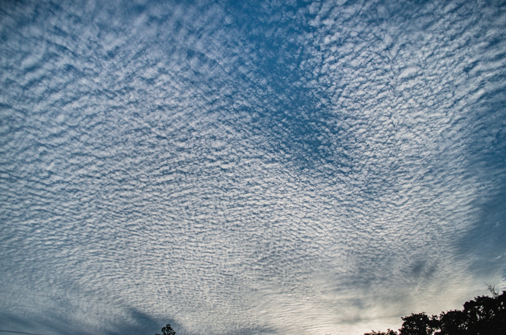 the look of the sky # 468