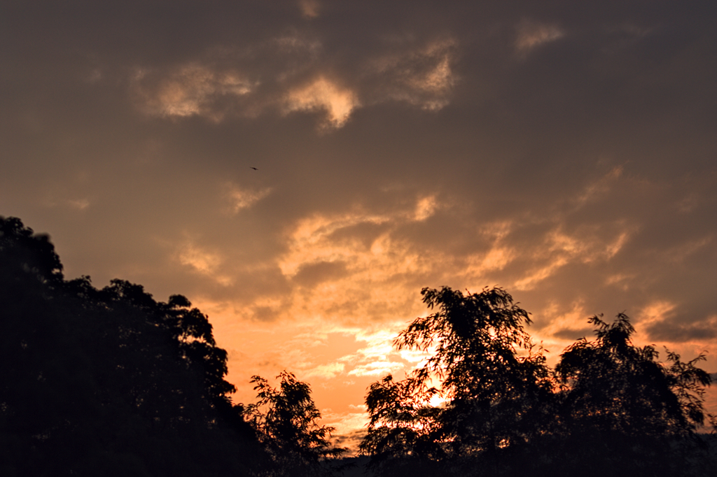 the look of the sky # 57