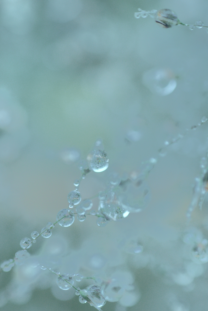 雨上がり