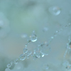 雨上がり