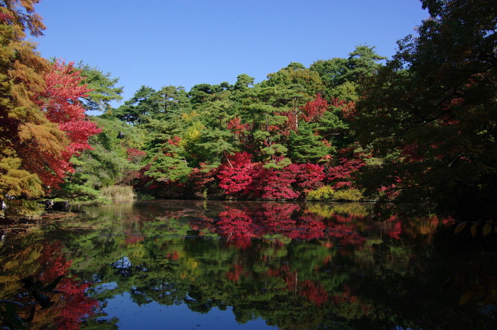 紅葉散歩　Ⅴ