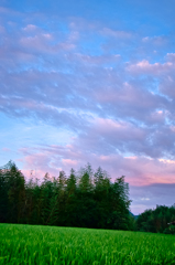 the look of the sky # 157