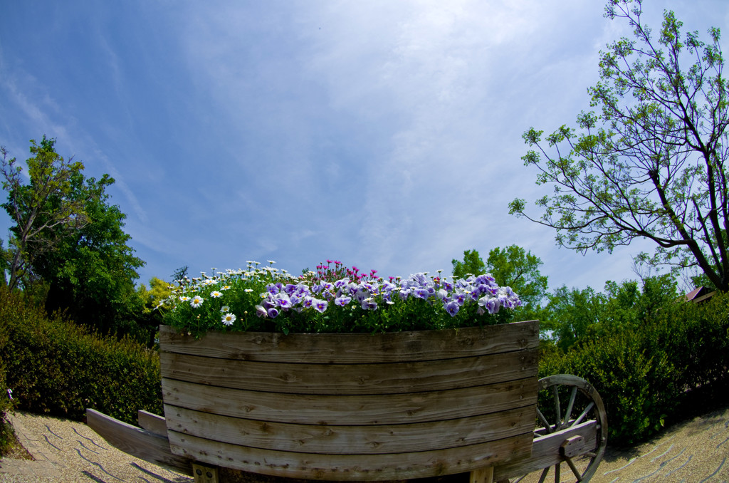 花のある風景