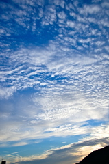 the look of the sky # 232