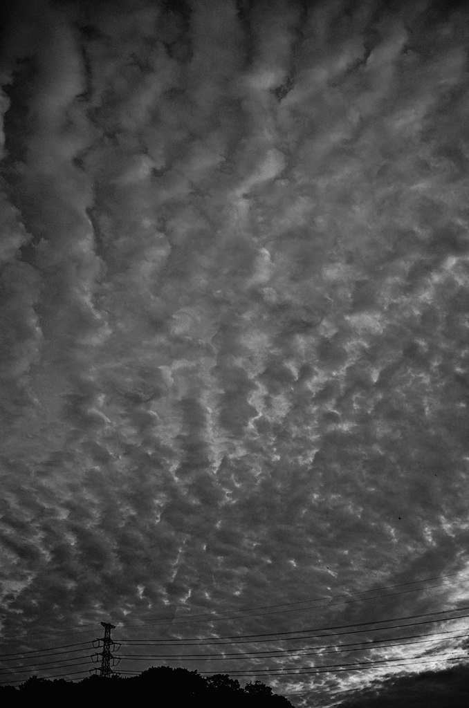 the look of the sky # 519