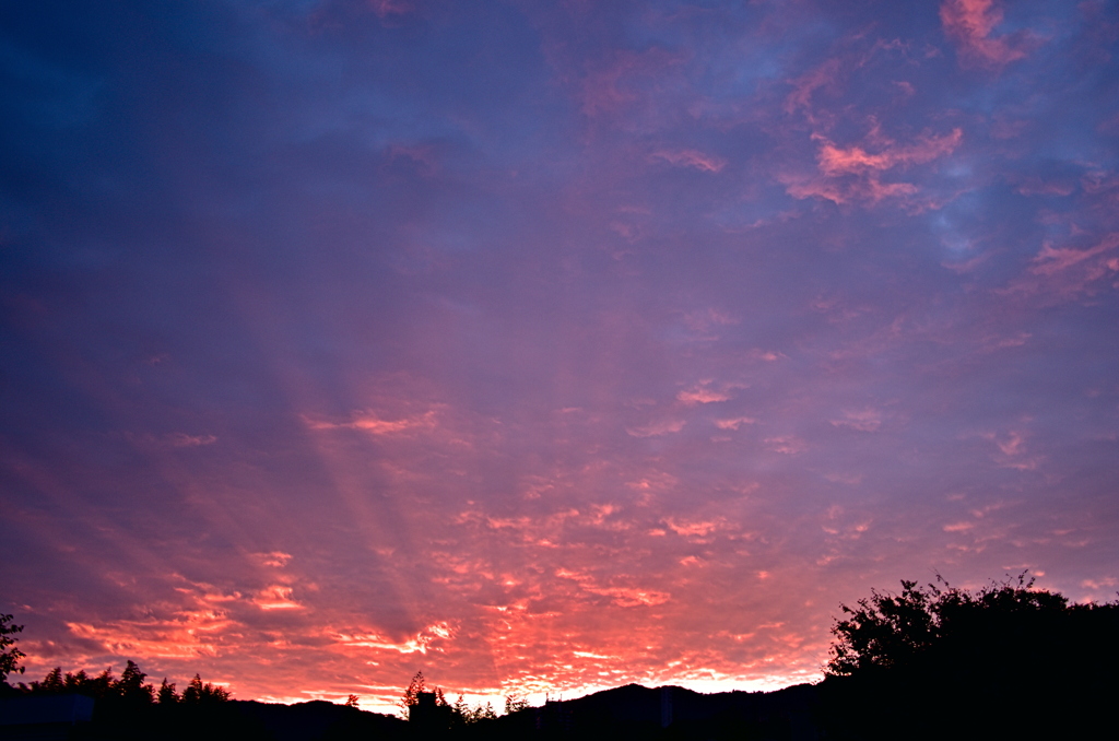 the look of the sky # 244