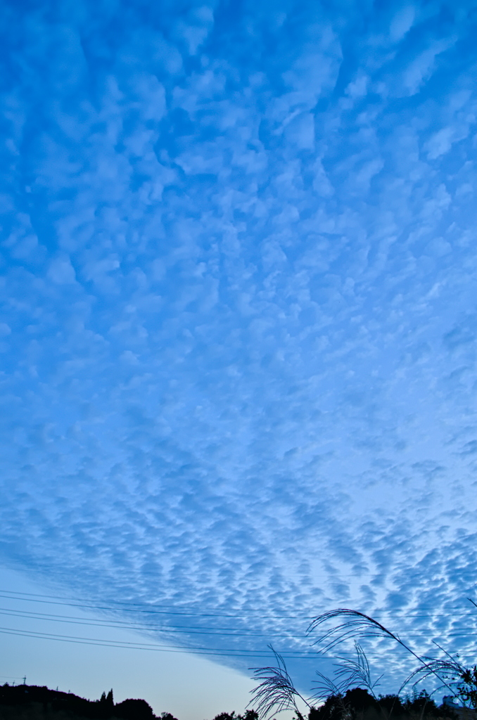 the look of the sky # 318