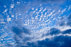 the look of the sky # 220