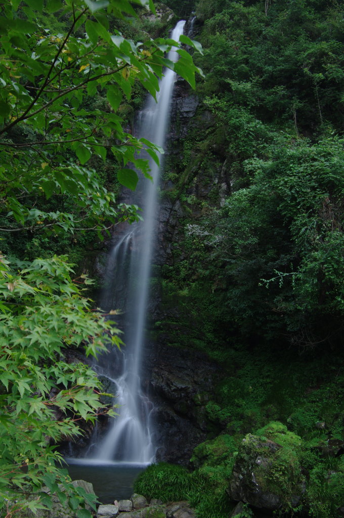 大樽の滝