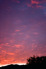 the look of the sky # 243