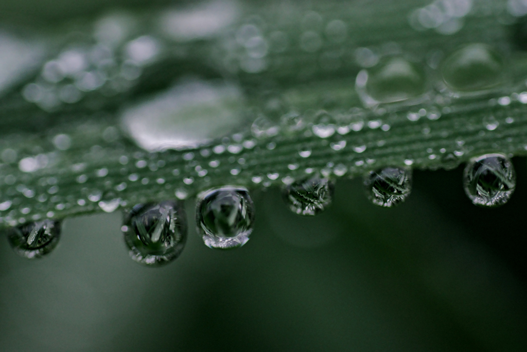 雨上がり