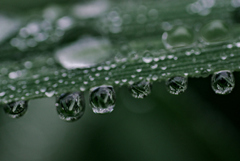 雨上がり