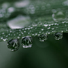 雨上がり