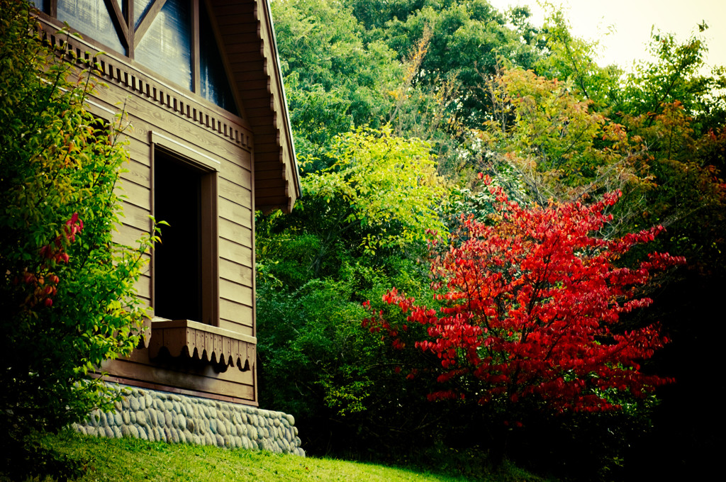 小屋と紅葉