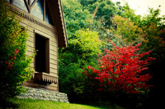 小屋と紅葉