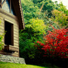 小屋と紅葉