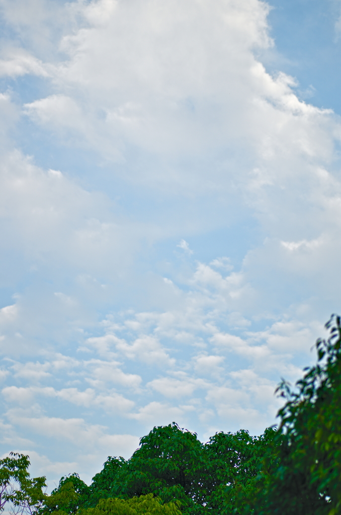 the look of the sky # 365