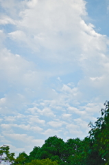 the look of the sky # 365