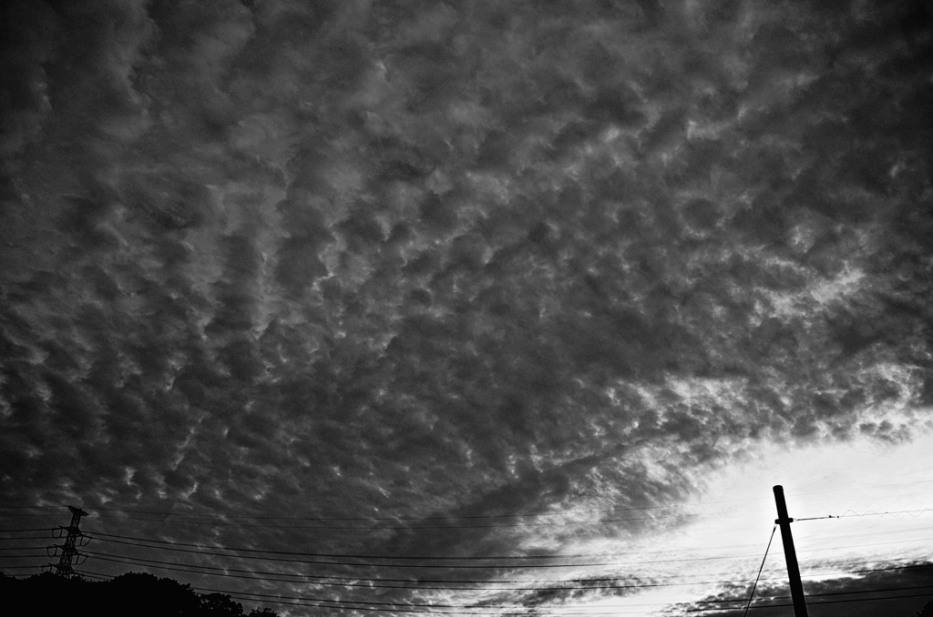 the look of the sky # 518