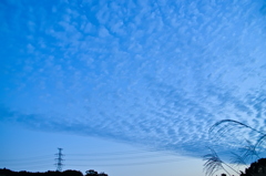 the look of the sky # 317