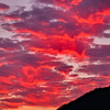 the look of the sky # 323