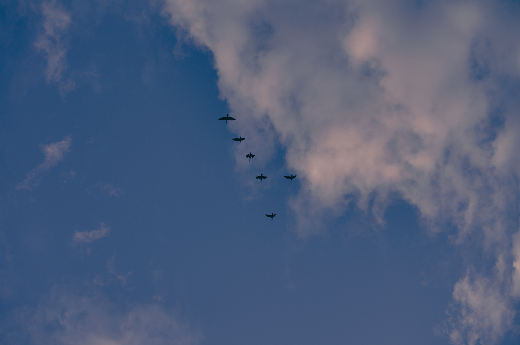the look of the sky # 513