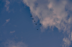 the look of the sky # 513