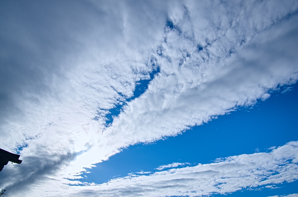the look of the sky # 387