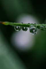雨上がり