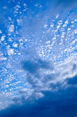 the look of the sky # 221