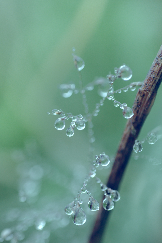 雨上がり