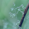 雨上がり