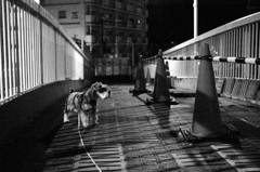 工事中