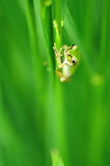 なに撮ってるの！