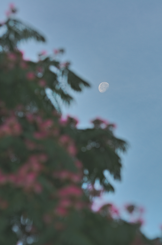 月