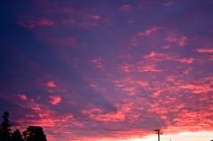 the look of the sky # 241